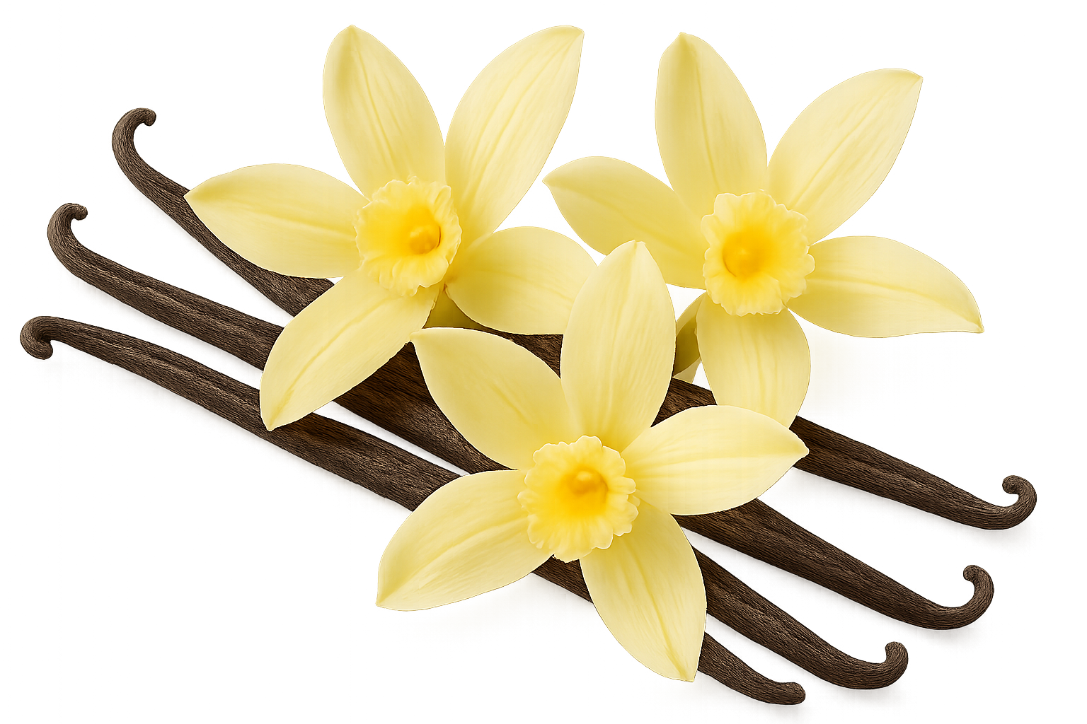 20250918_1626_Vanilla Essence Focus_simple_compose_01k5dywjarf3387egcn5g0k1d3